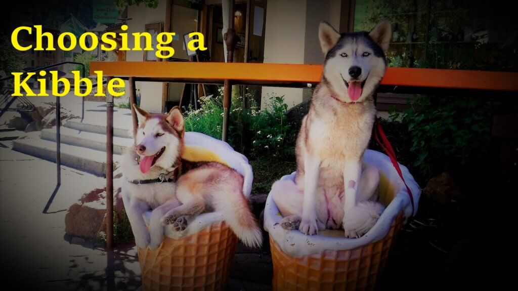 best kibble dog food